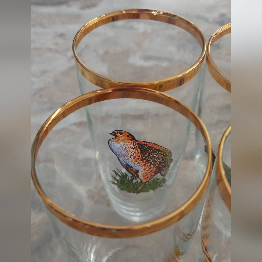 Set of 4 Gold Rimmed Bird Glasses - Picture 6 of 9